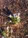 DSC00660m.jpg - 2011:03:20 14:53:03