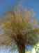DSC00665m.jpg - 2011:03:20 16:15:28