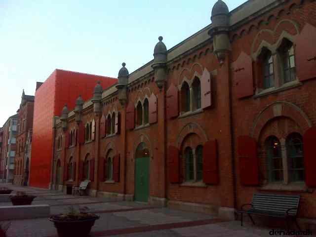 * Image 23