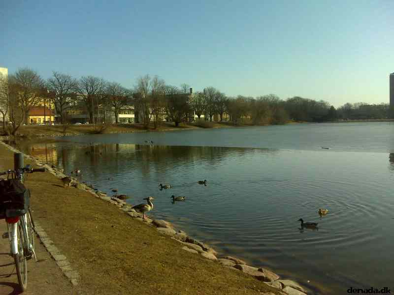 * Image 8