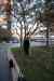 201104120009m.jpg - 2011:04:12 19:14:30