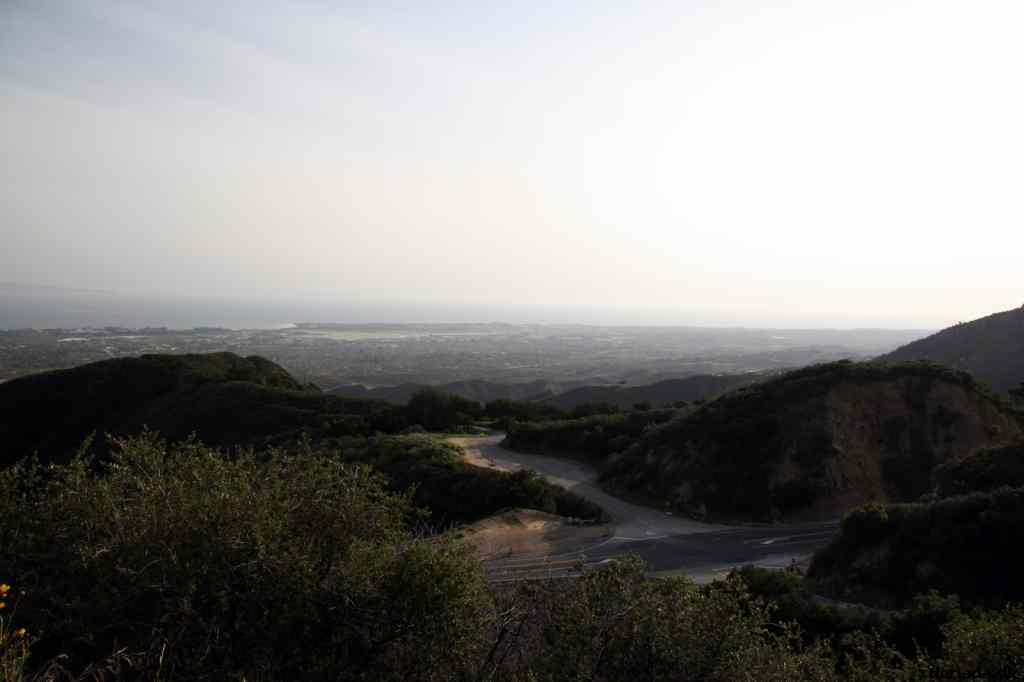 * Image 15