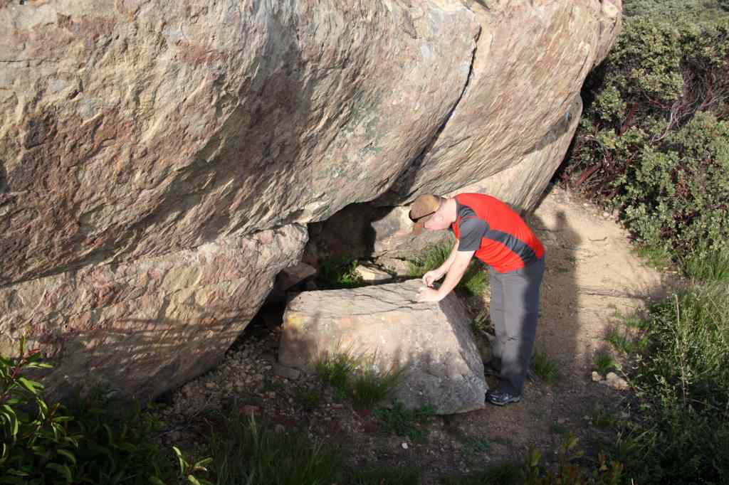 * Image 19