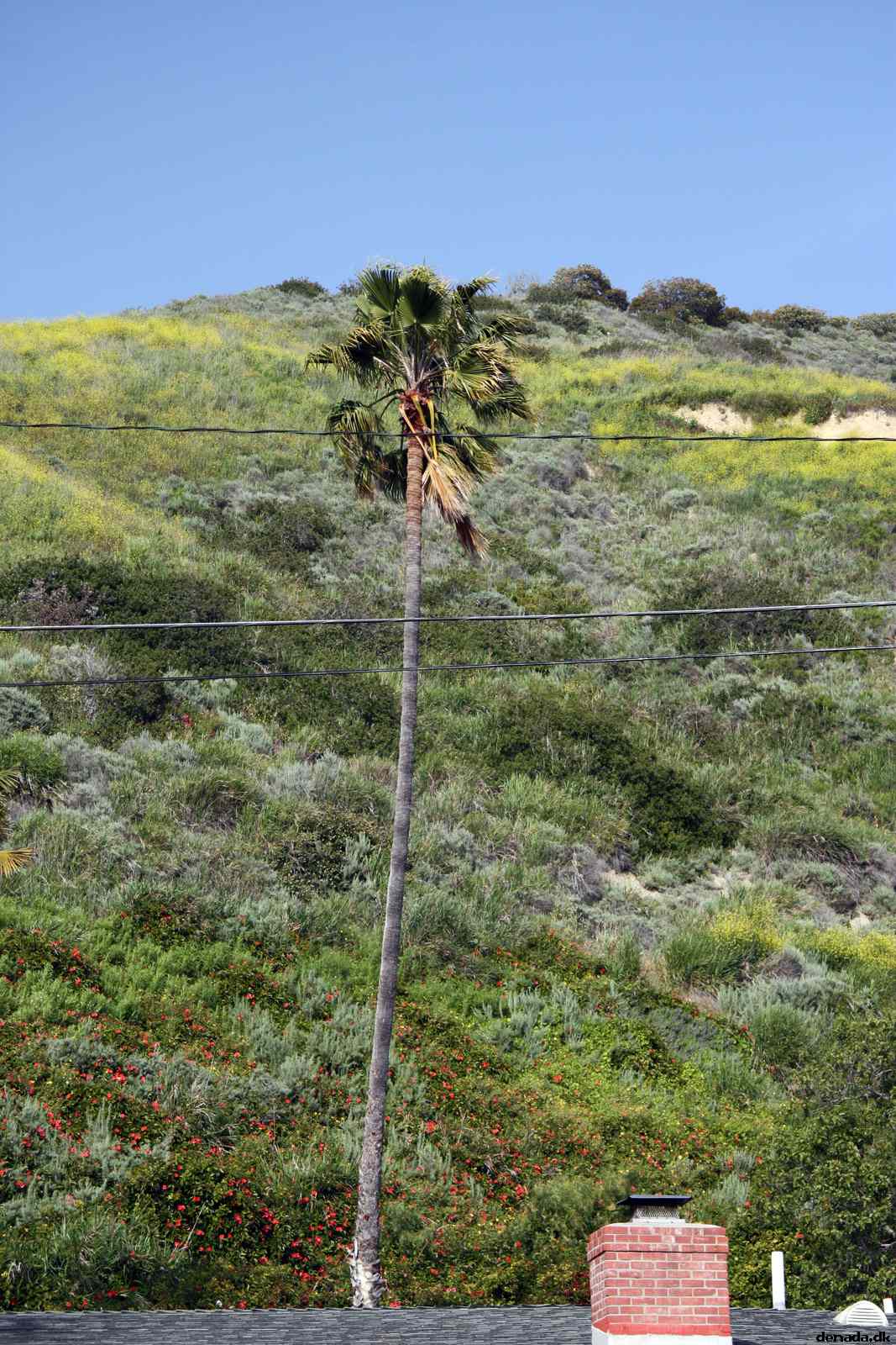 * Image 14