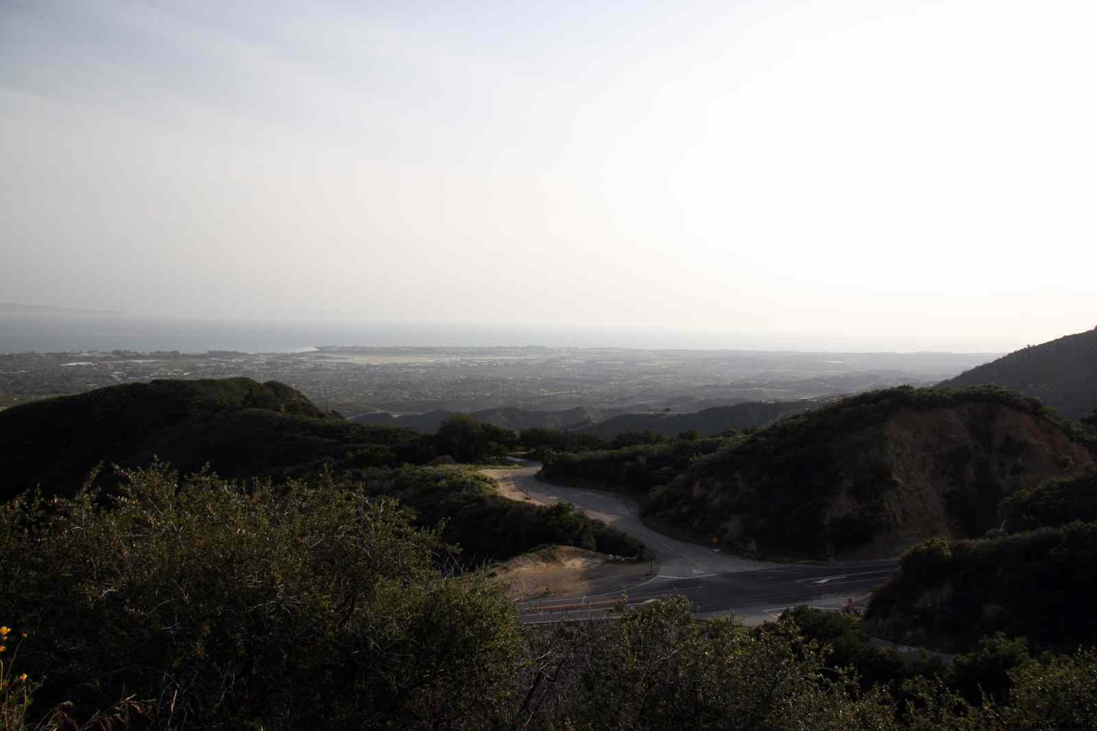 * Image 15