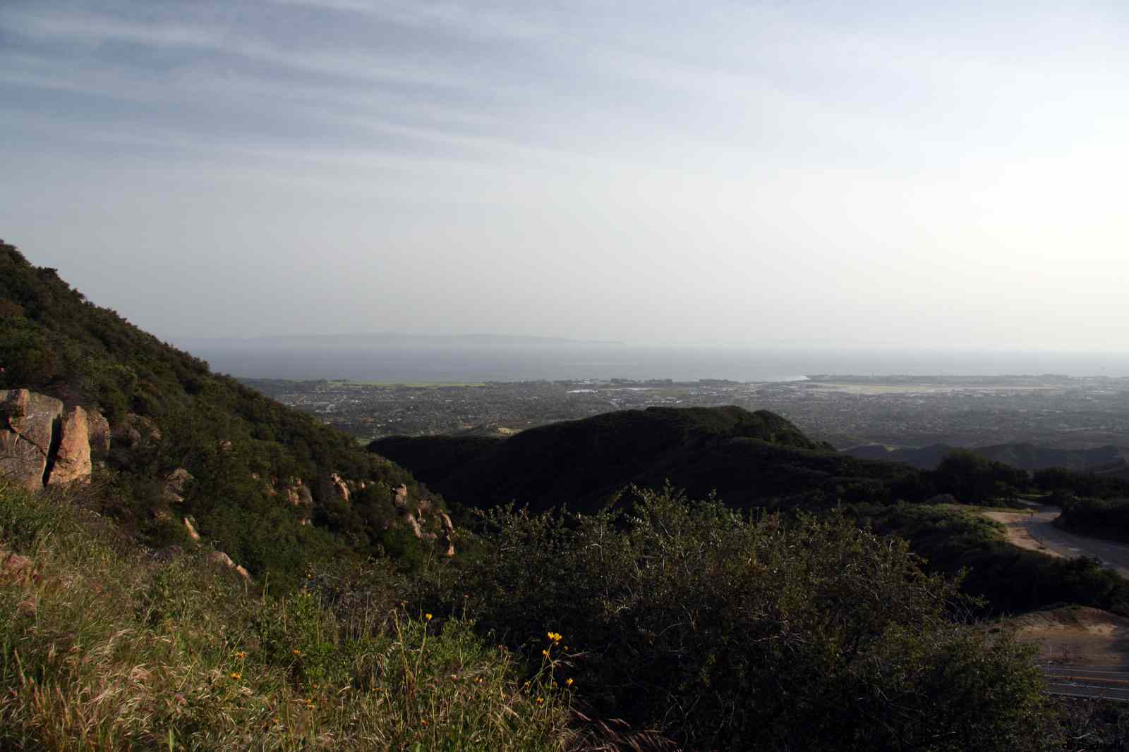 * Image 16