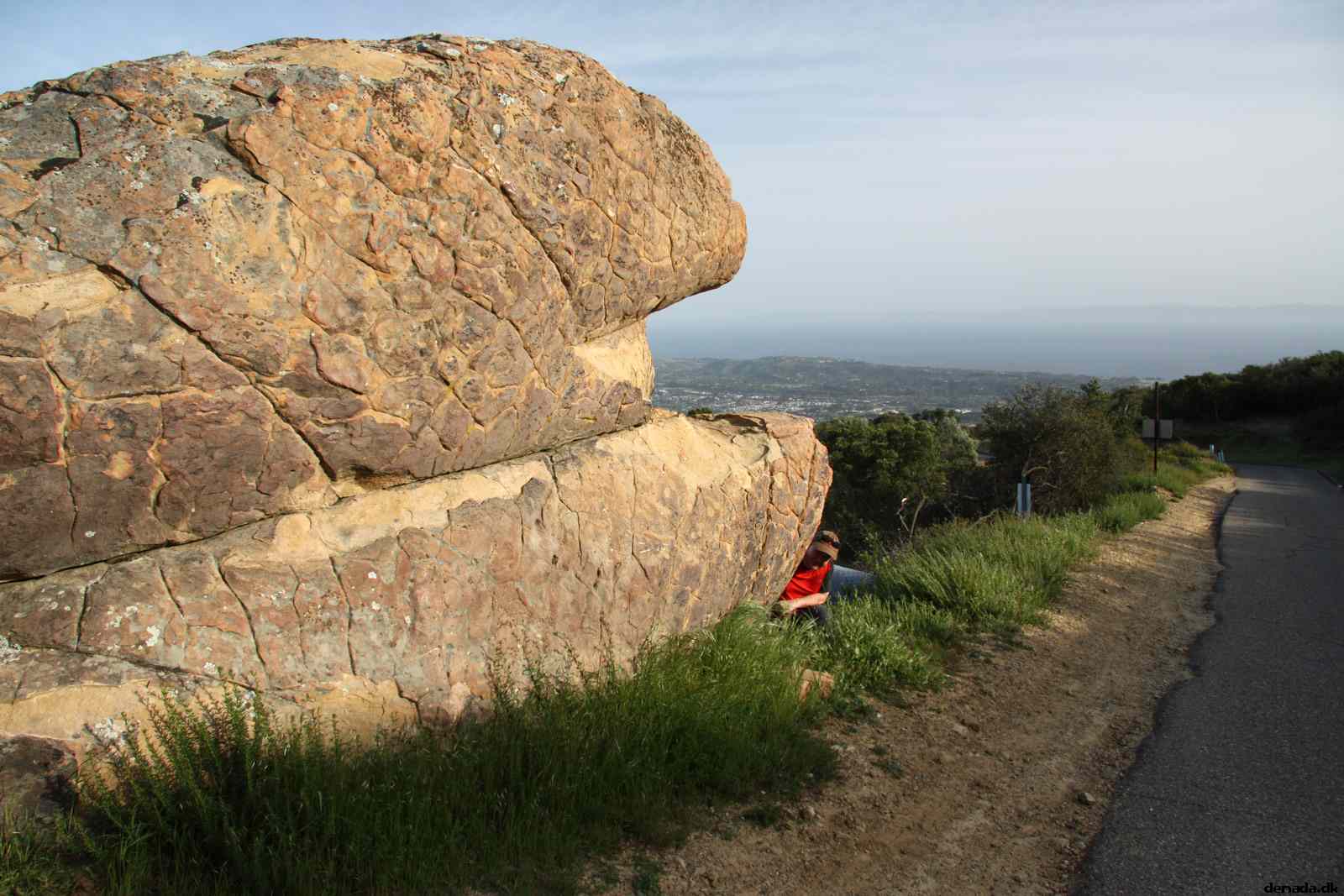 * Image 18