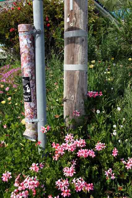 * Image 7