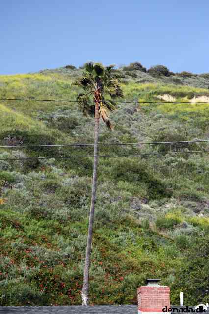 * Image 14