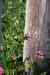 201104140021m.jpg - 2011:04:13 15:55:10
