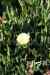 201104140026m.jpg - 2011:04:13 15:56:30