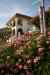 201104140031m.jpg - 2011:04:13 15:57:44