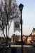201104140053m.jpg - 2011:04:13 18:01:15