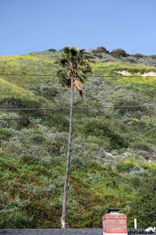 * Image 14