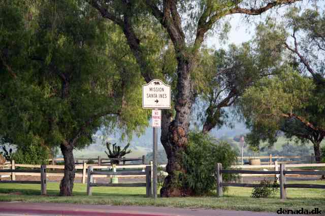 * Image 24