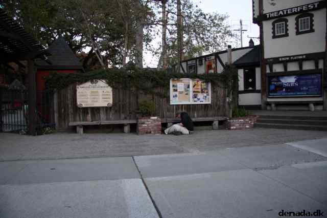 * Image 33