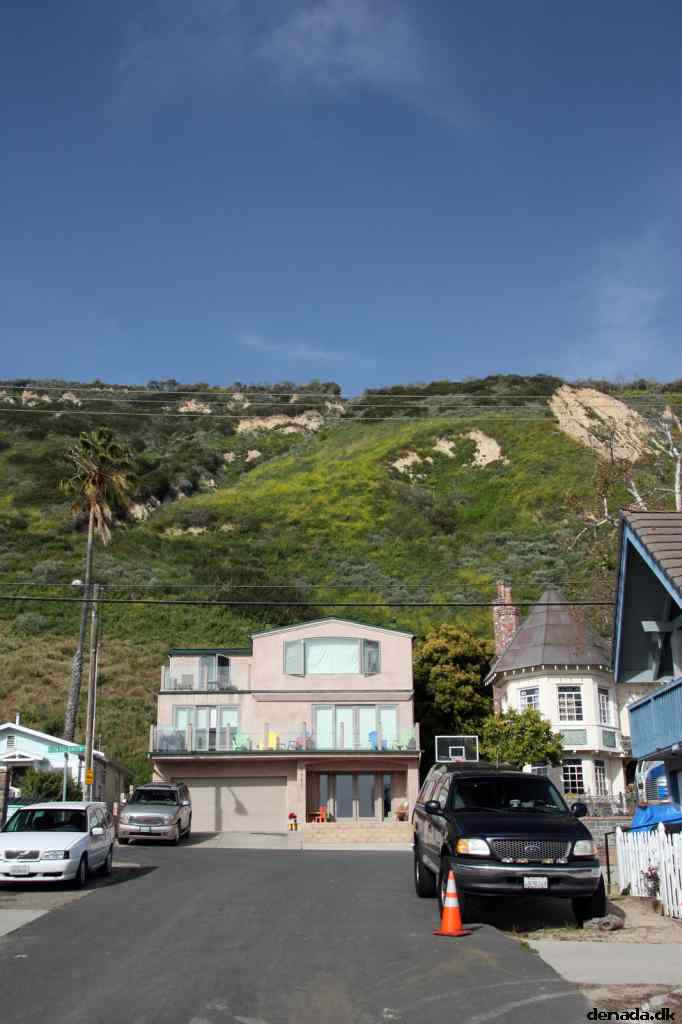 * Image 4