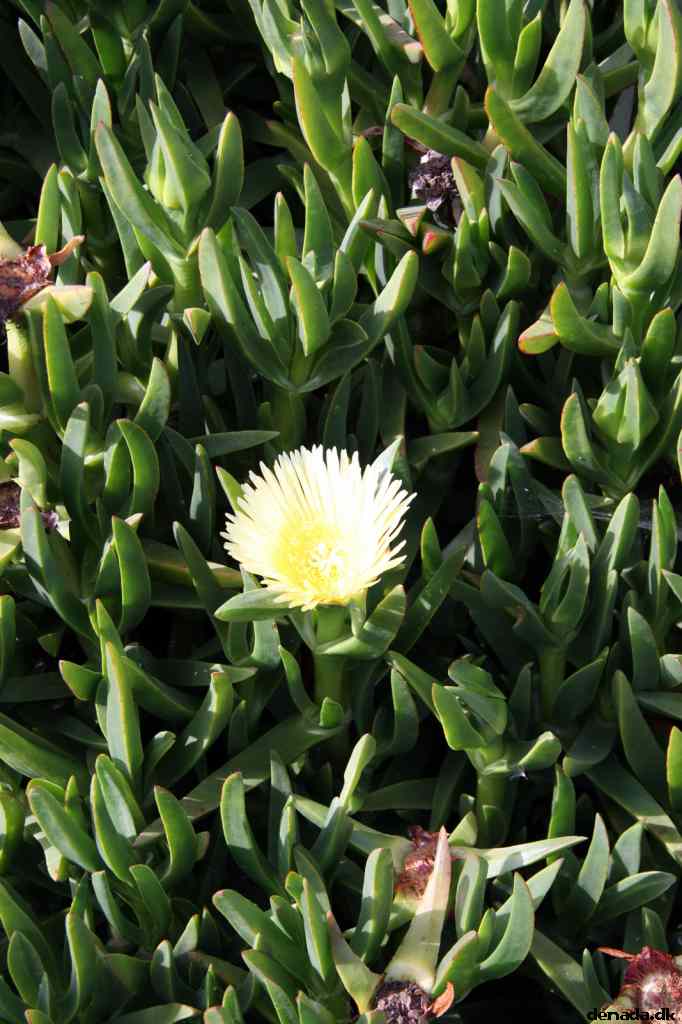 * Image 11