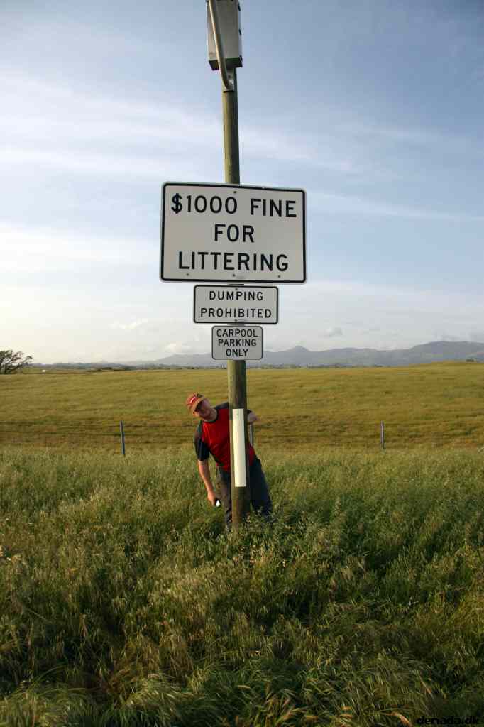 * Image 21