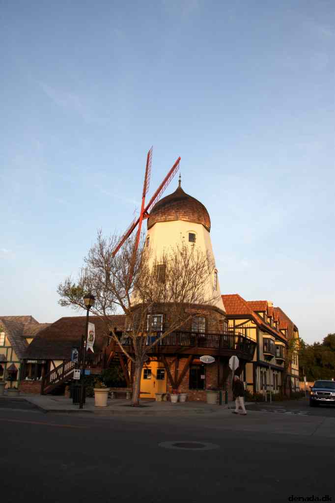 * Image 29