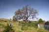 201104140075m.jpg - 2011:04:14 09:29:48