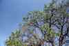 201104140076m.jpg - 2011:04:14 09:30:17
