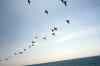 201104140126m.jpg - 2011:04:14 11:21:37