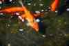 201104140194m.jpg - 2011:04:14 14:34:47