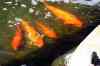 201104140196m.jpg - 2011:04:14 14:34:57