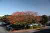 201104150197m.jpg - 2011:04:14 15:16:40