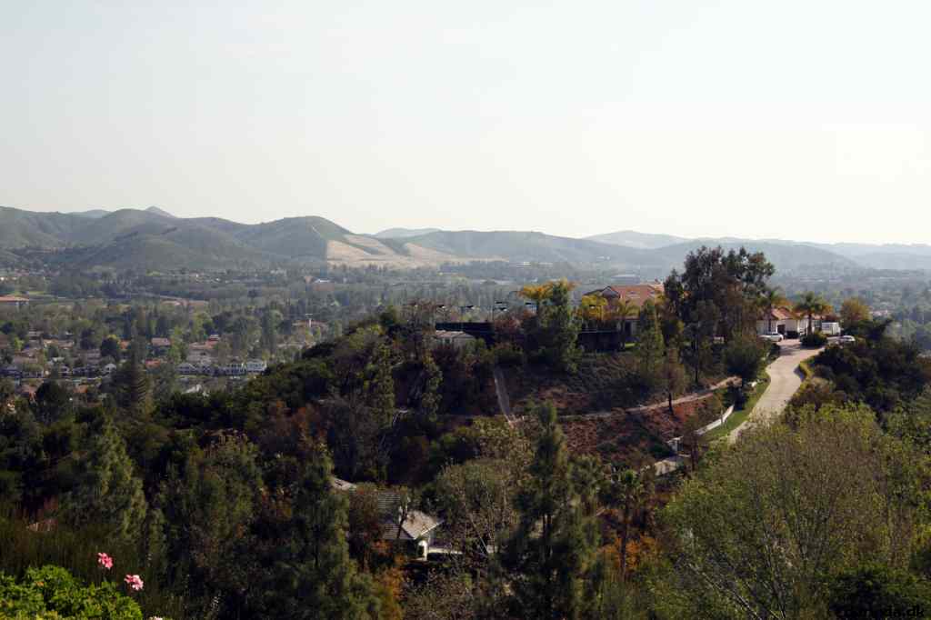 * Image 6