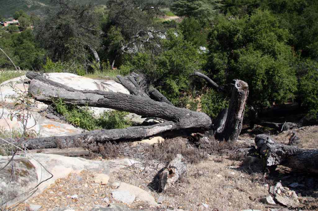 * Image 15