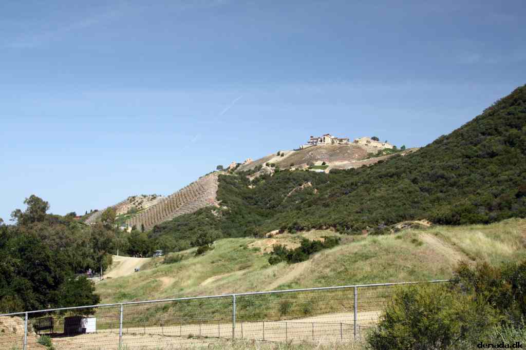 * Image 26