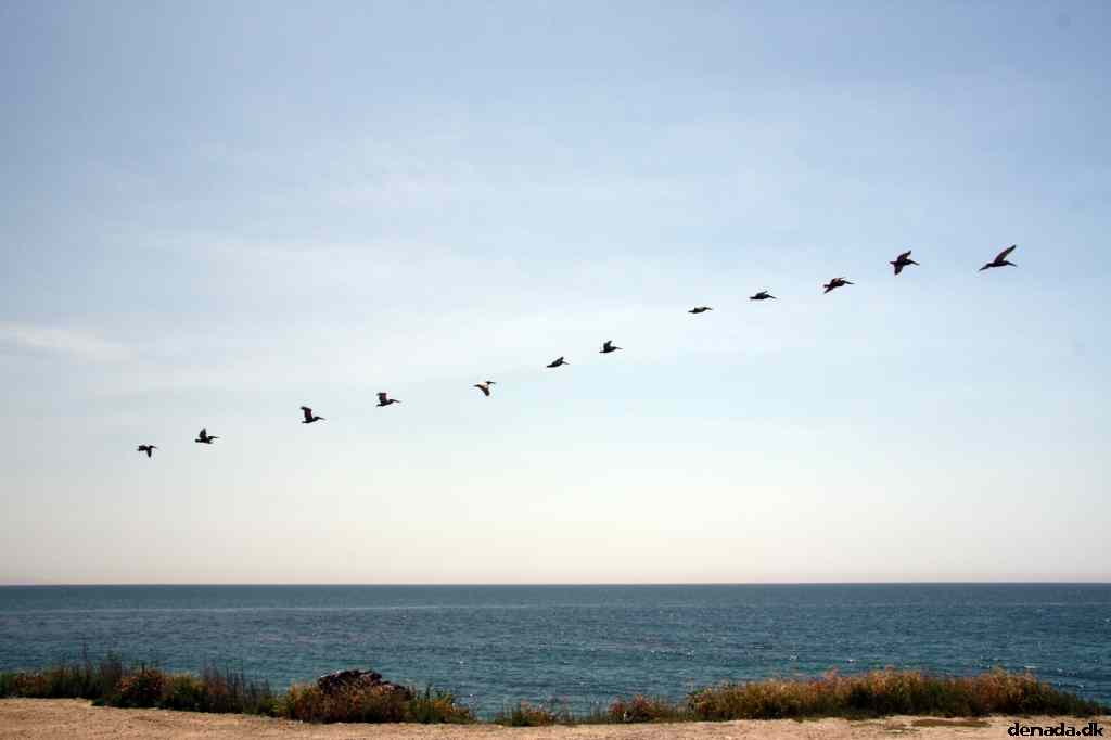 * Image 45