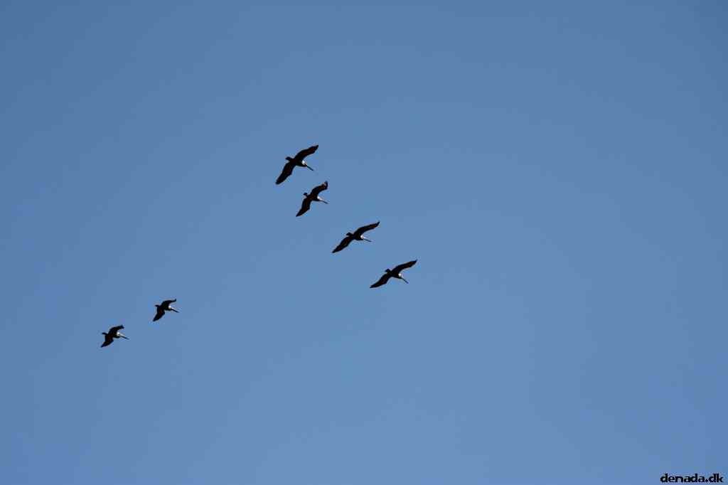 * Image 57