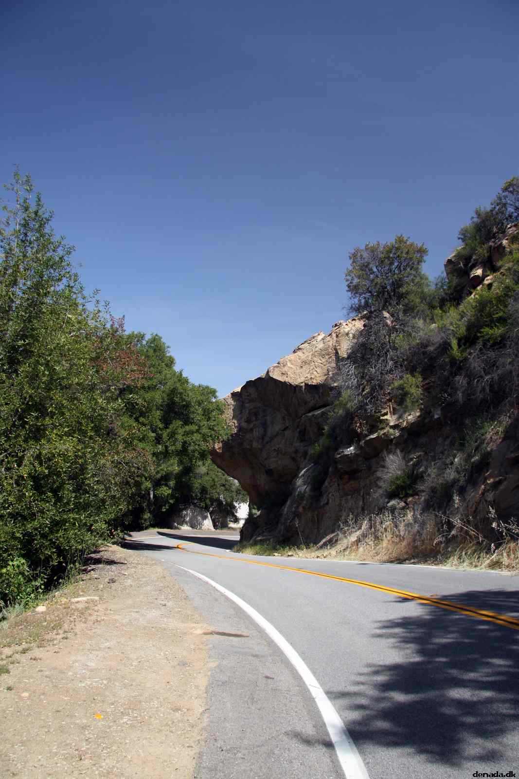 * Image 16