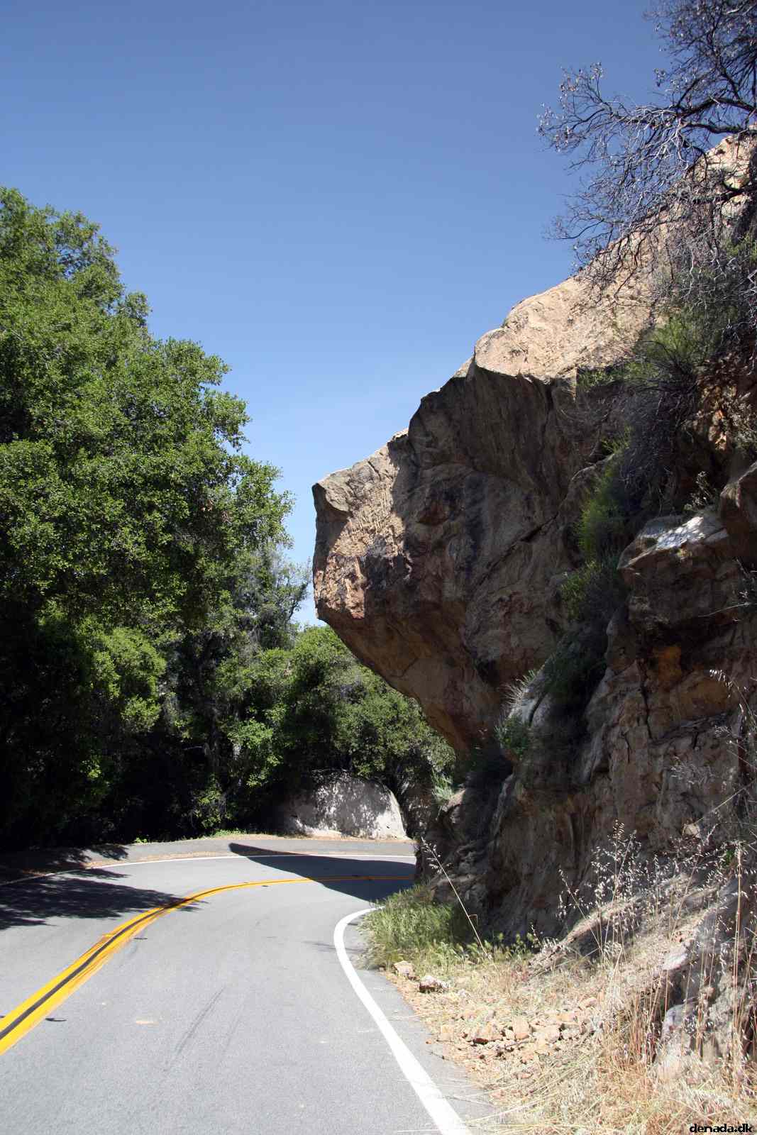 * Image 18