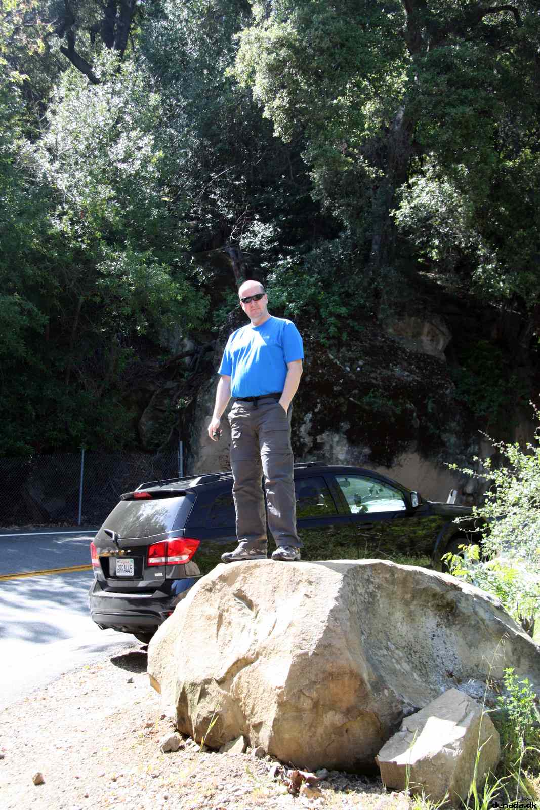 * Image 19