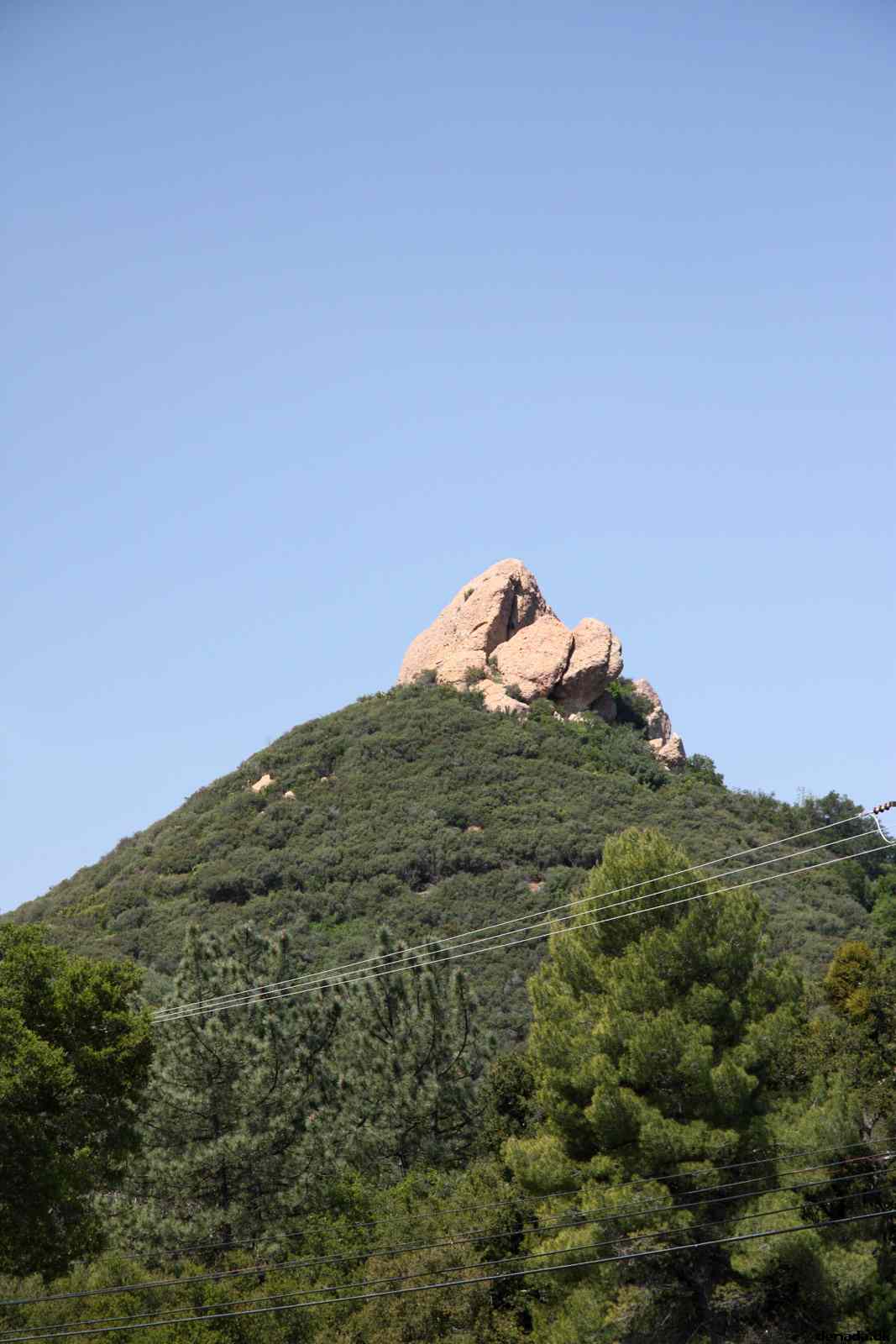 * Image 28