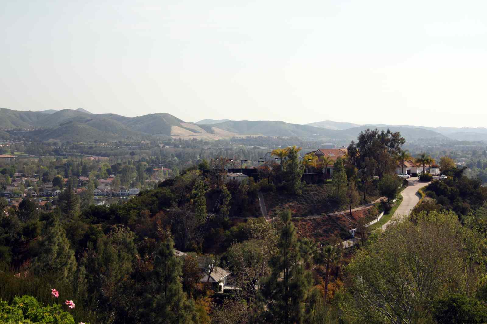 * Image 6