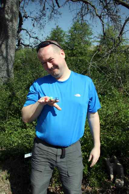 * Image 13