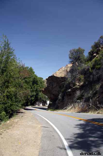 * Image 16