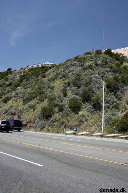 * Image 53