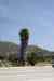 201104140119m.jpg - 2011:04:14 11:04:05