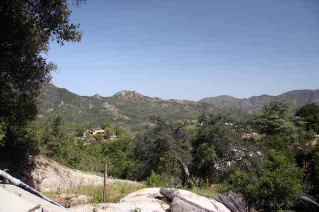 * Image 14