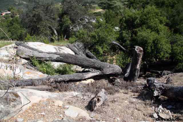 * Image 15
