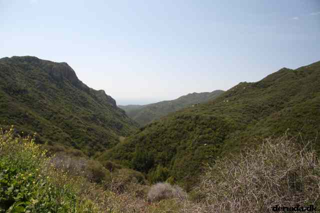 * Image 30