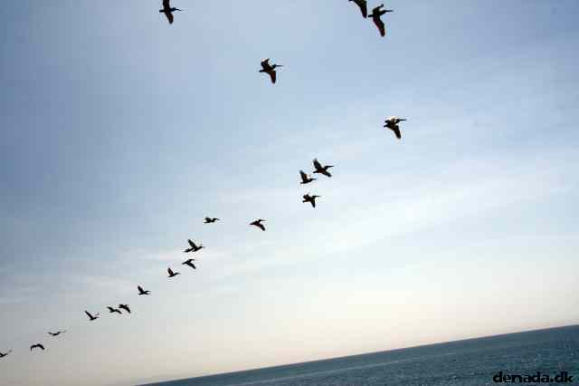 * Image 44