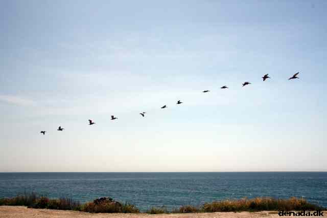 * Image 45