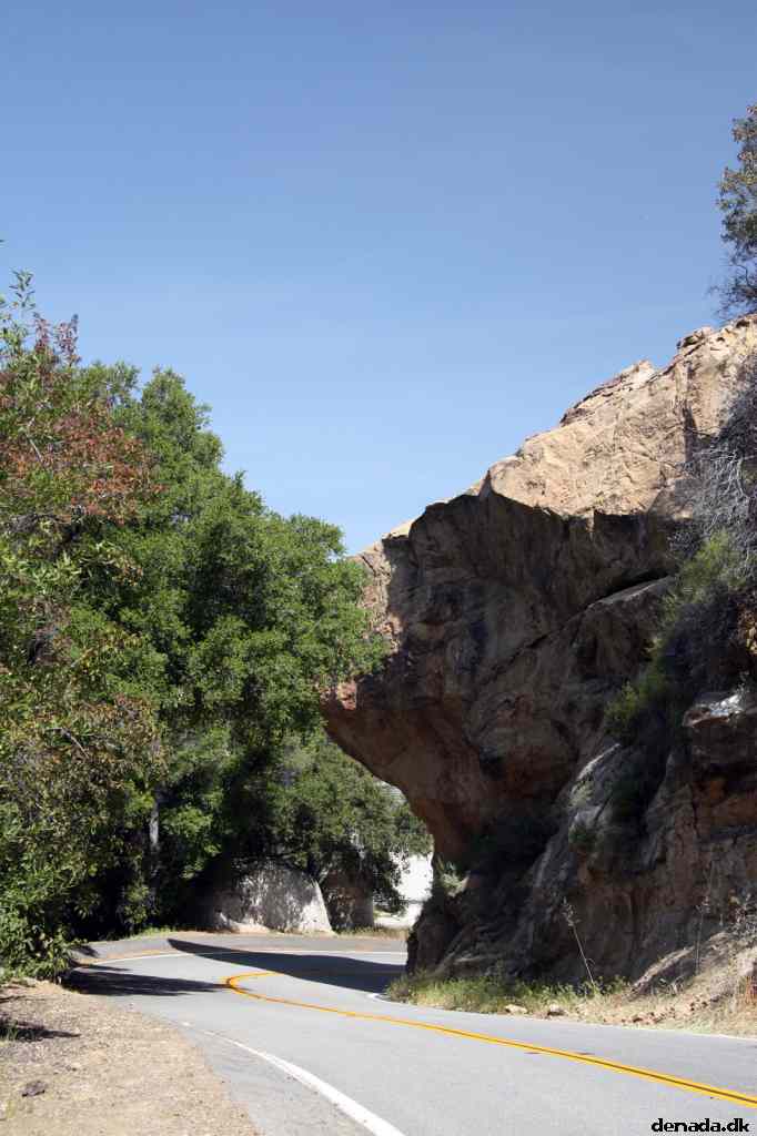 * Image 17